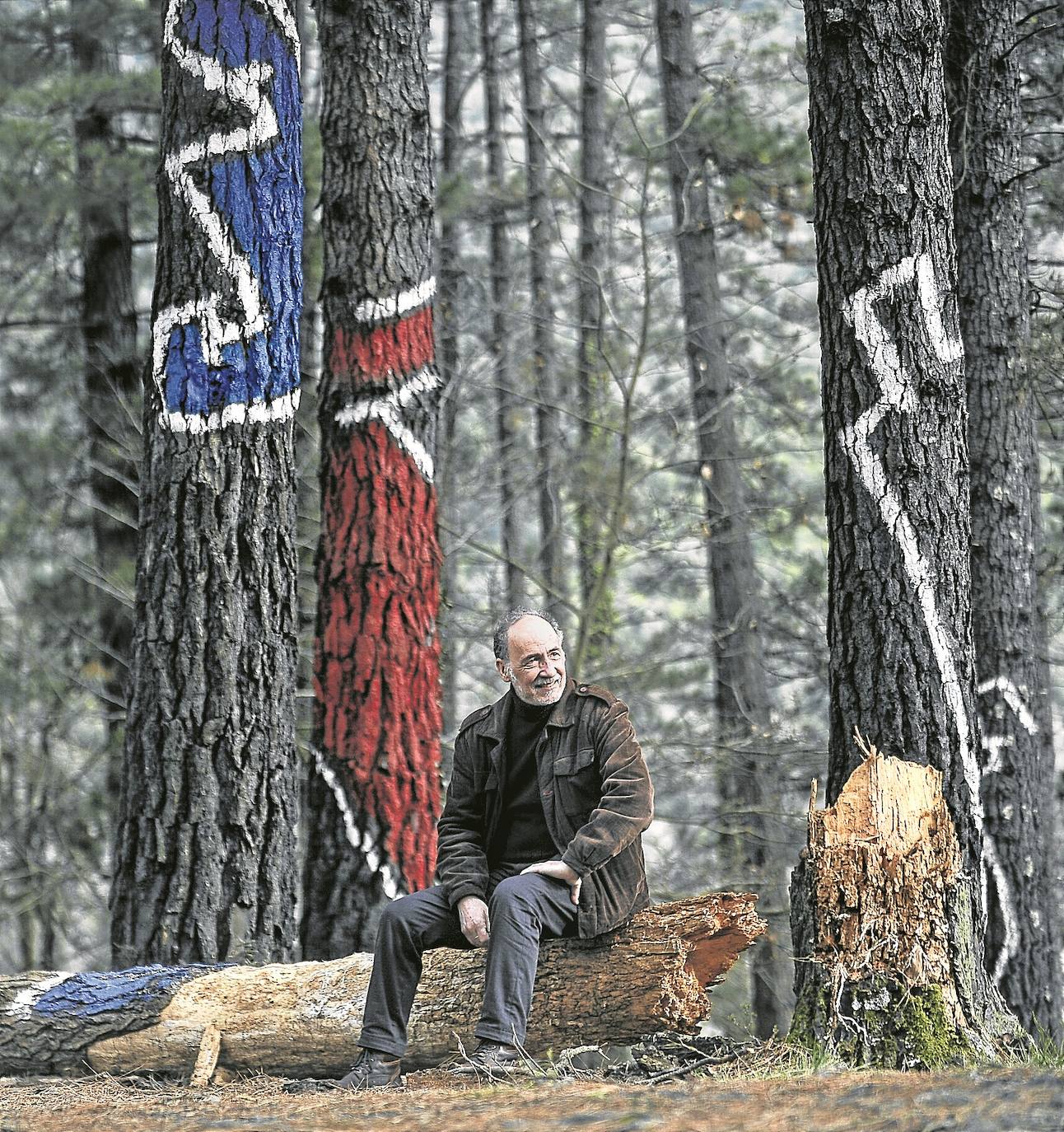 Adiós al viejo bosque | El Diario Vasco