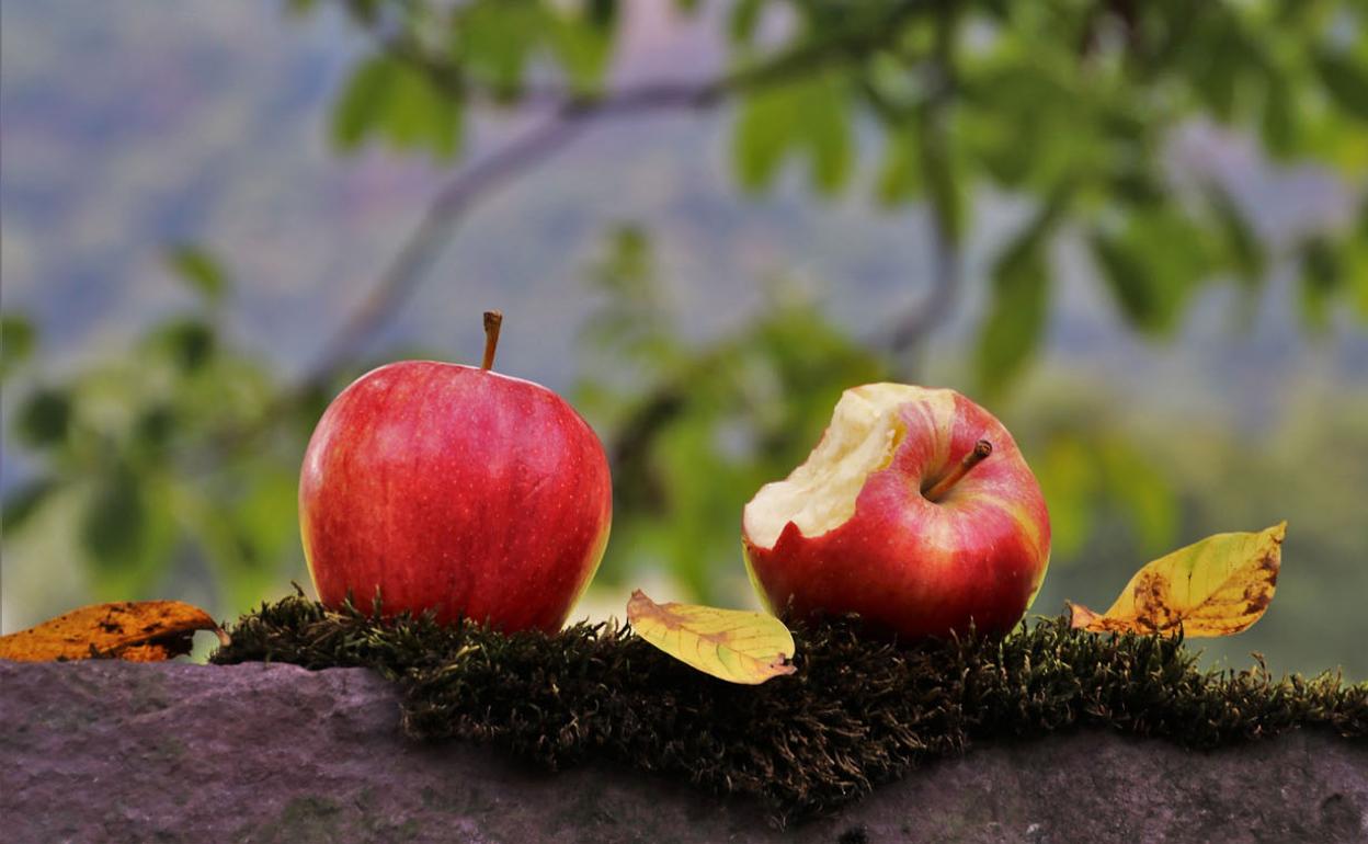 Los productos eco, bio y orgánicos mantienen ciertas diferencias. 