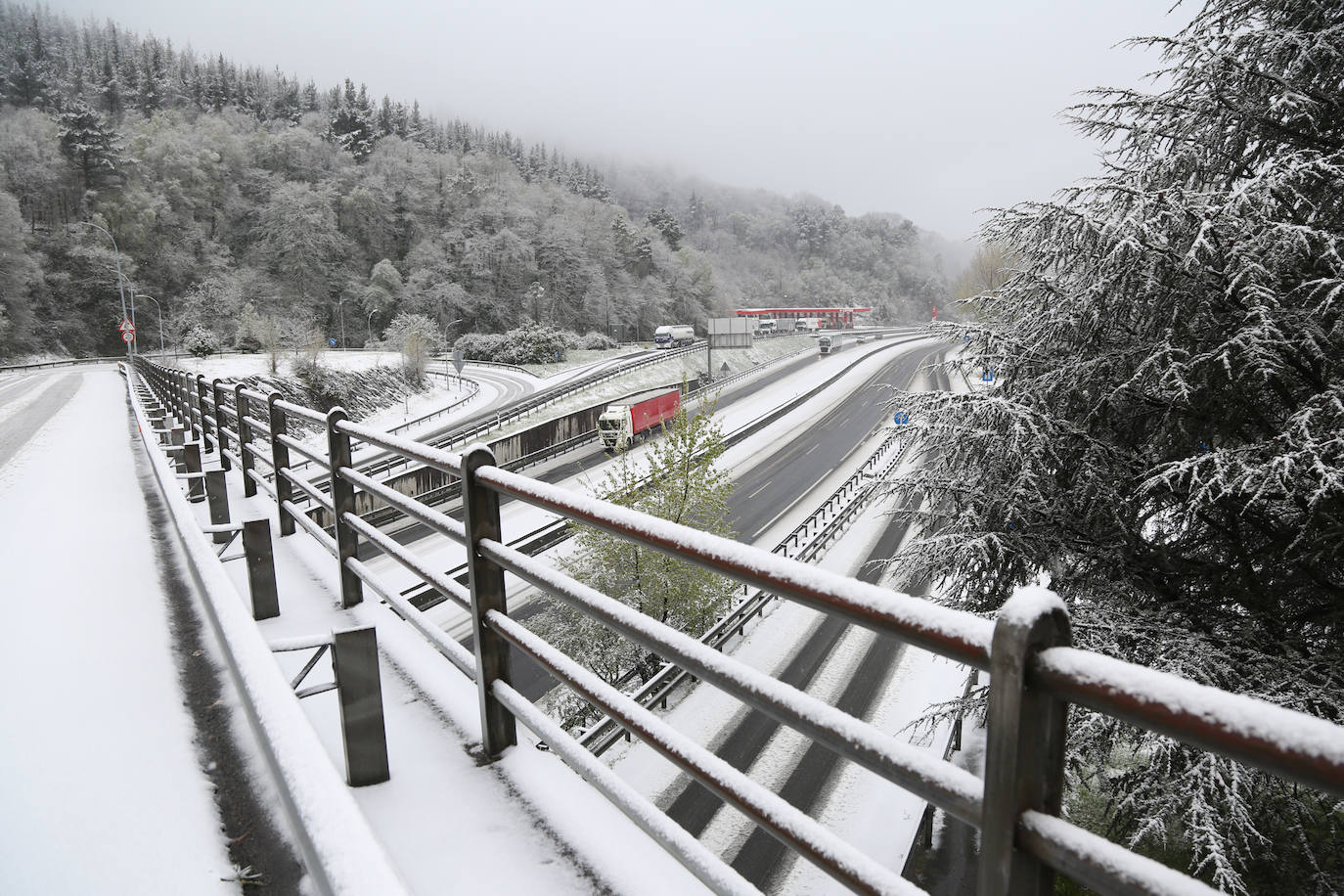 La nieve llega a Gipuzkoa