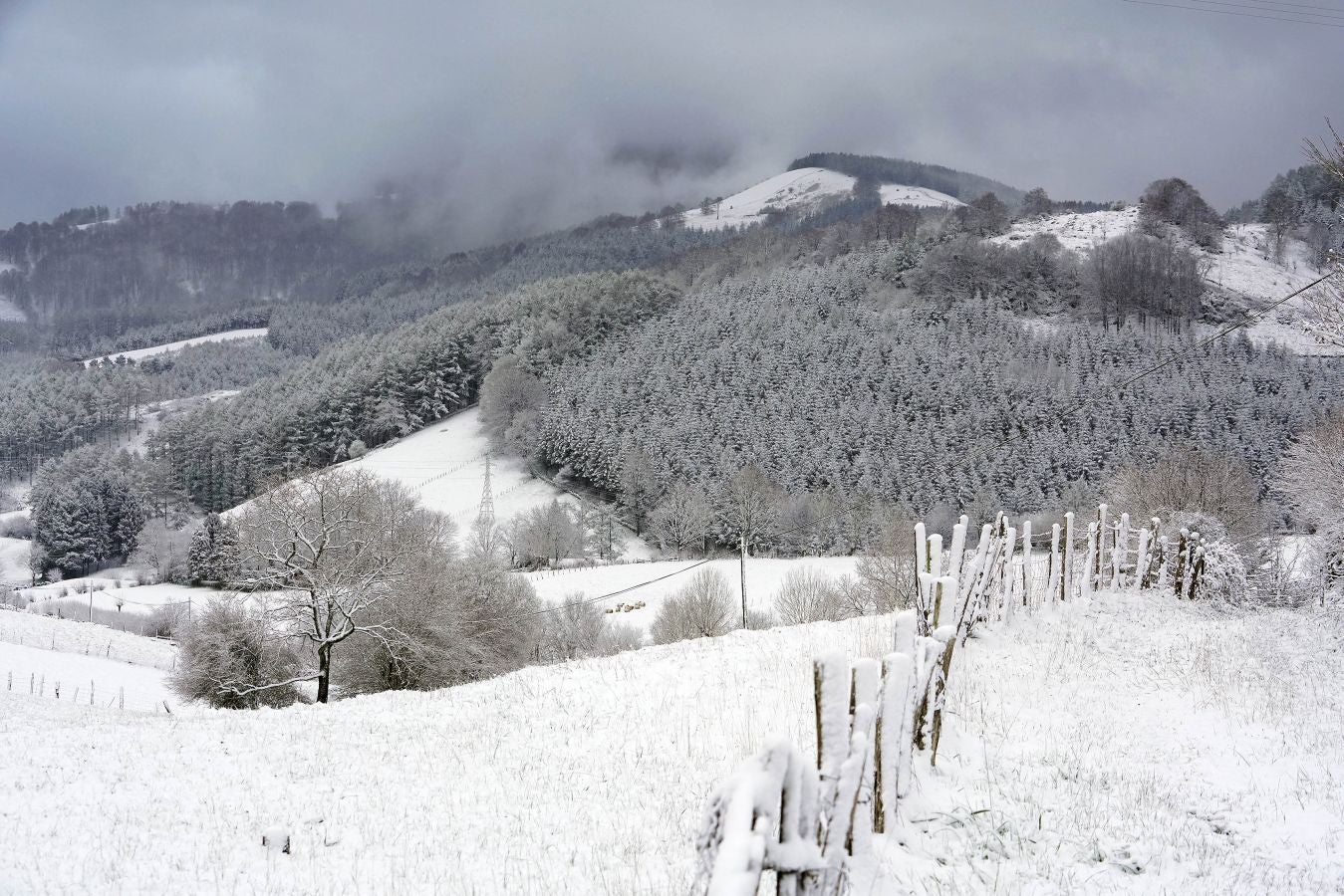 La nieve llega a Gipuzkoa