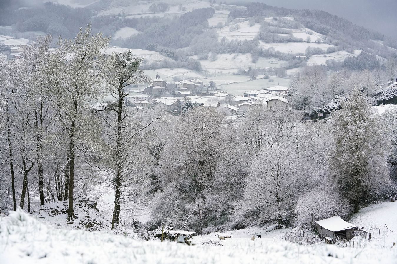 La nieve llega a Gipuzkoa