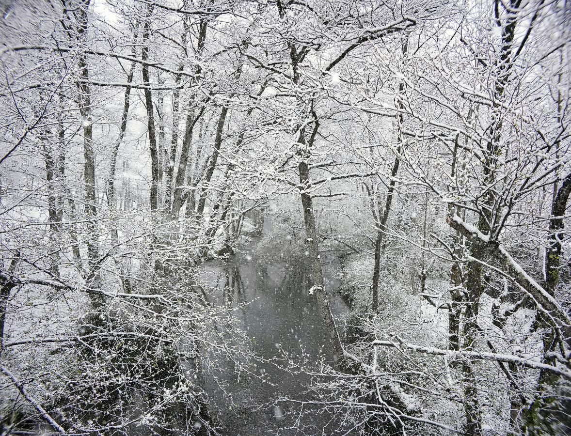 La nieve llega a Gipuzkoa