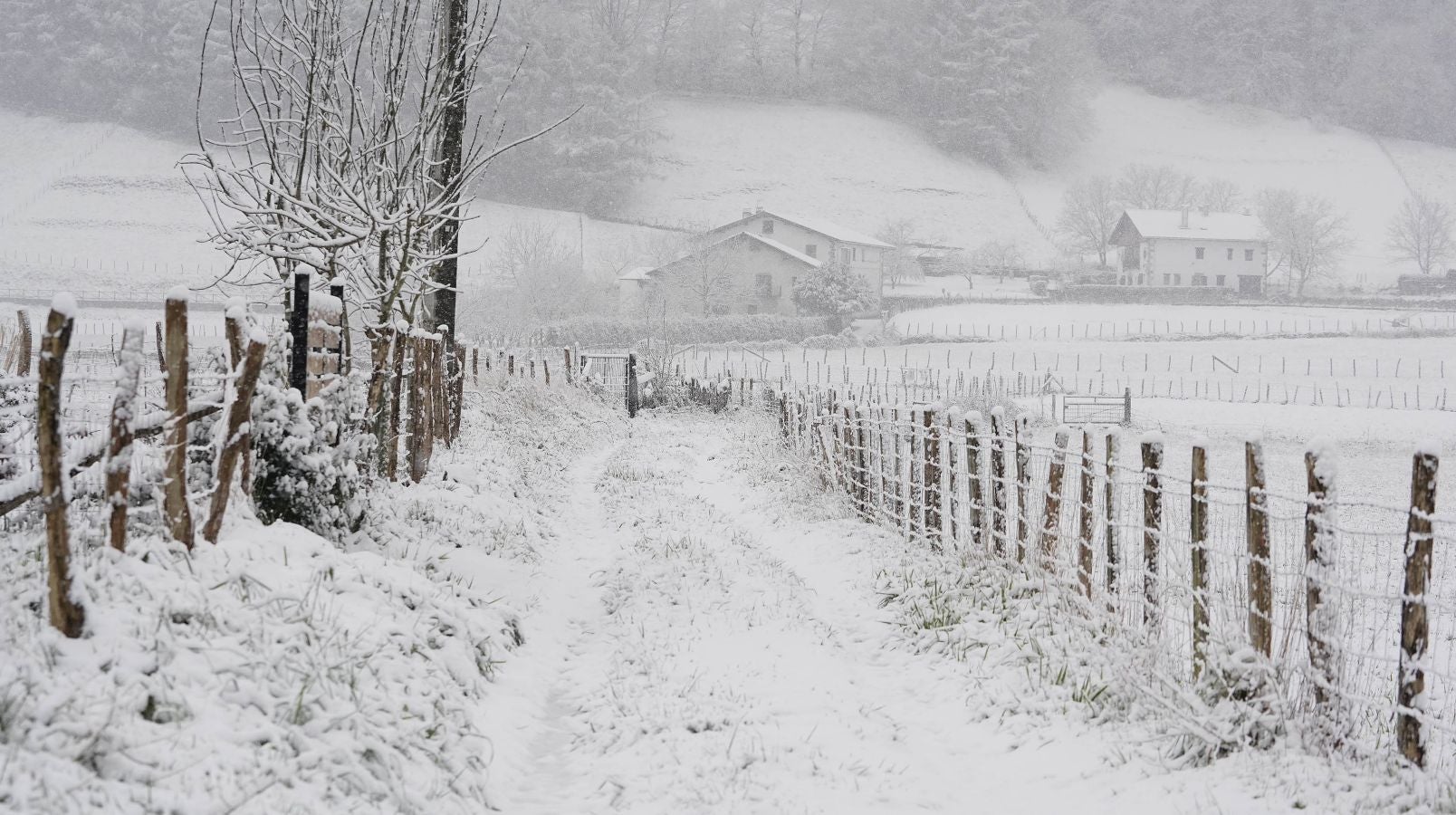 La nieve llega a Gipuzkoa