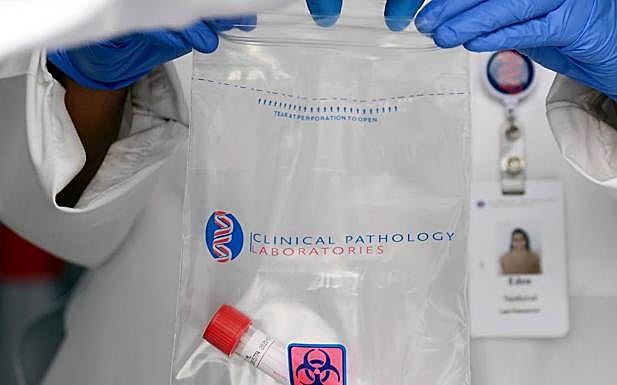 Un ambicioso programa de investigación busca la vacuna contra el coronavirus