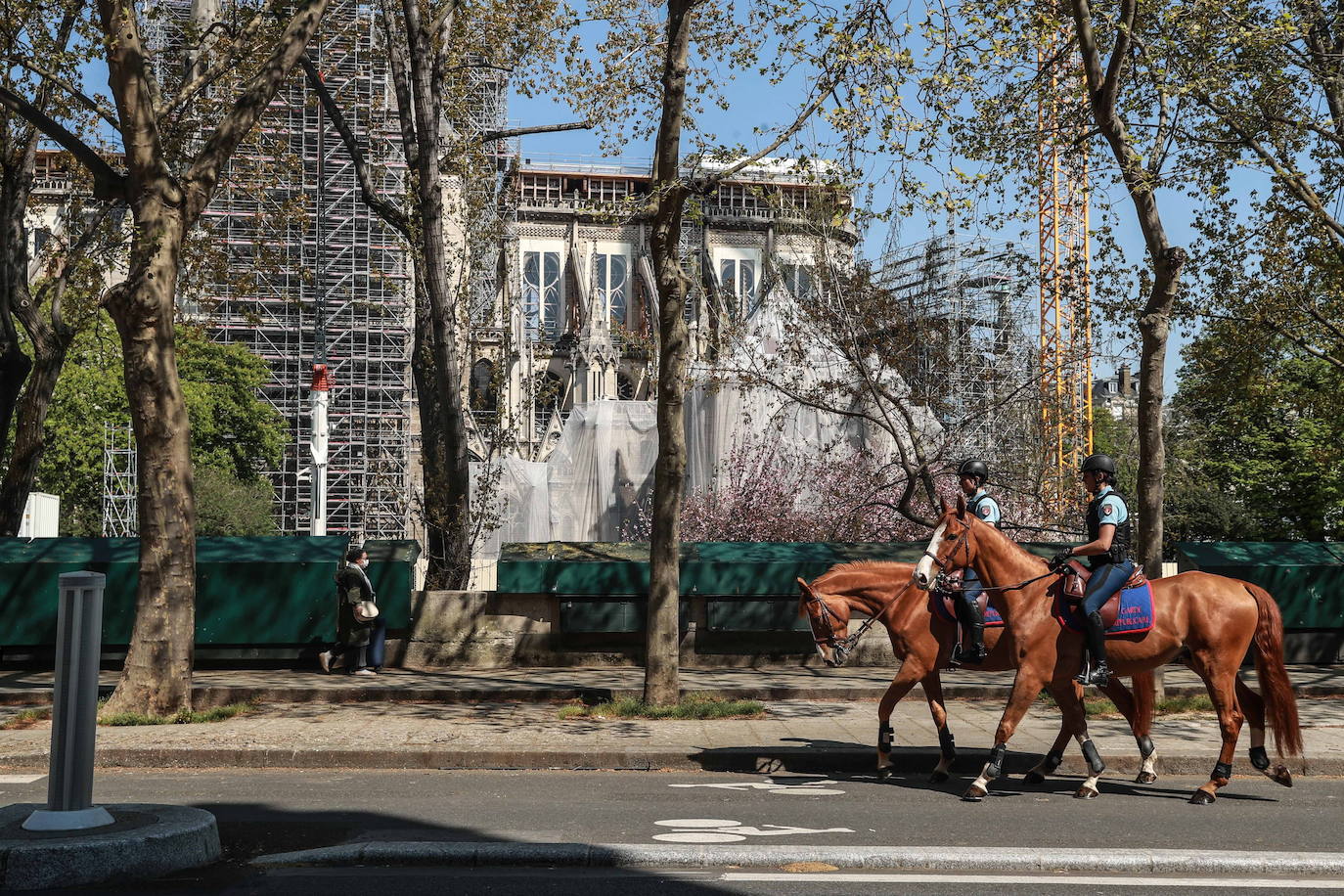 Un año después del incendio que destruyó el tejado de la catedral de Notre Dame y conmocionó al planeta, la restauración está lejos de haberse iniciado