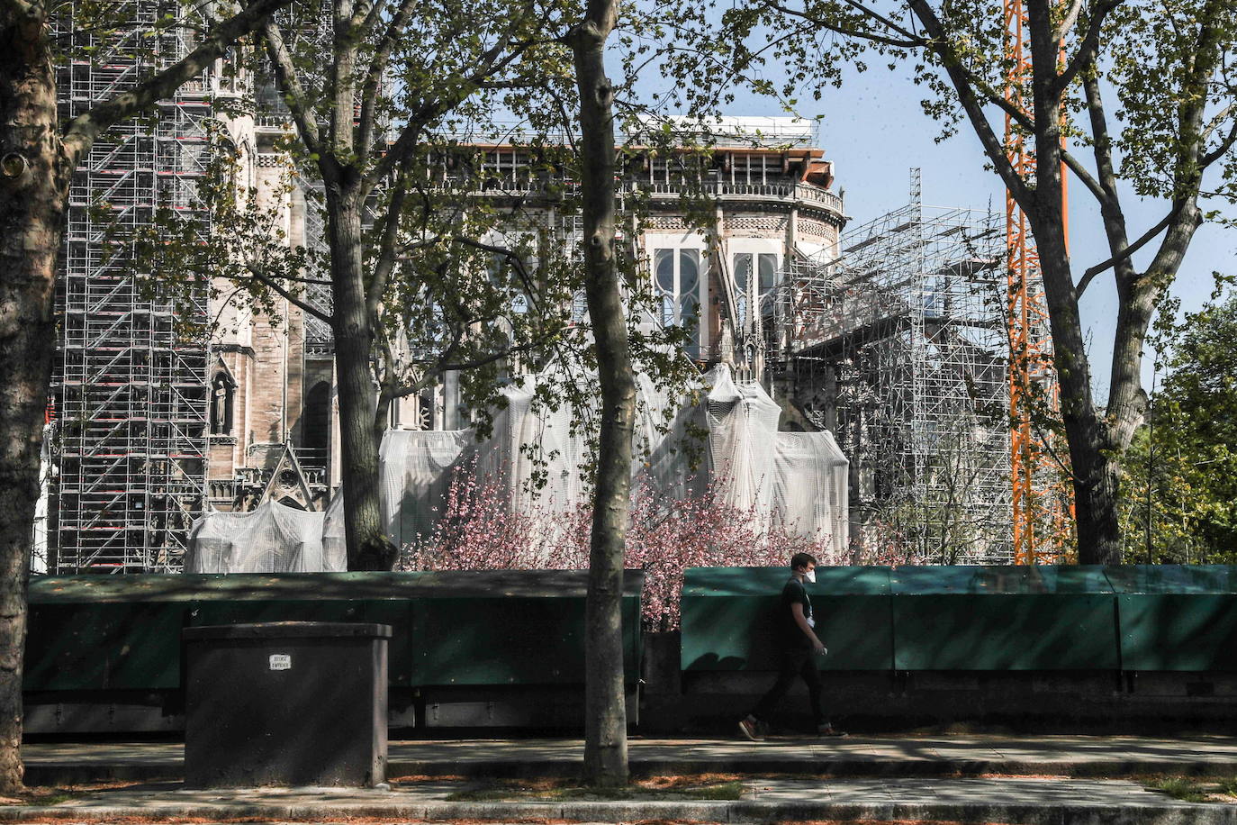 Un año después del incendio que destruyó el tejado de la catedral de Notre Dame y conmocionó al planeta, la restauración está lejos de haberse iniciado