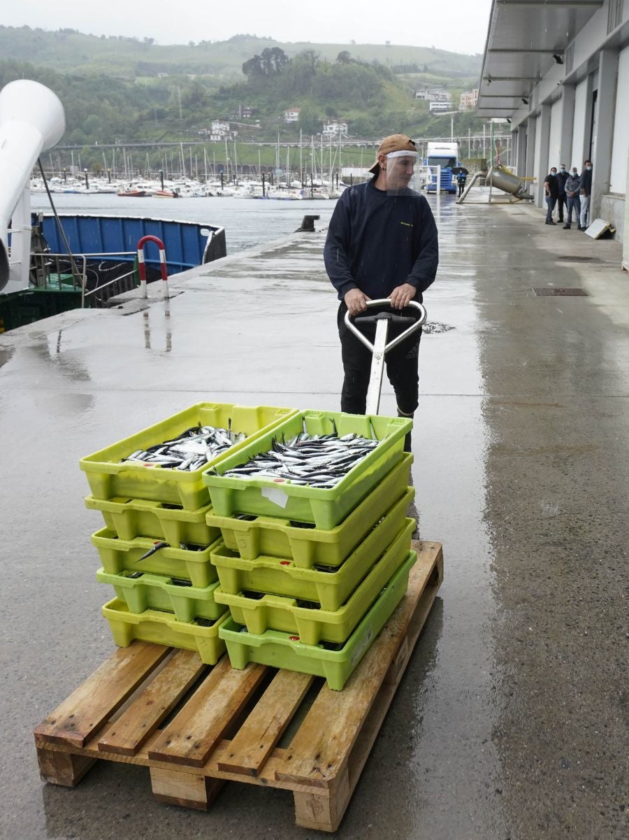 En lonja se ha abonado a 2,65 euros el kilo
