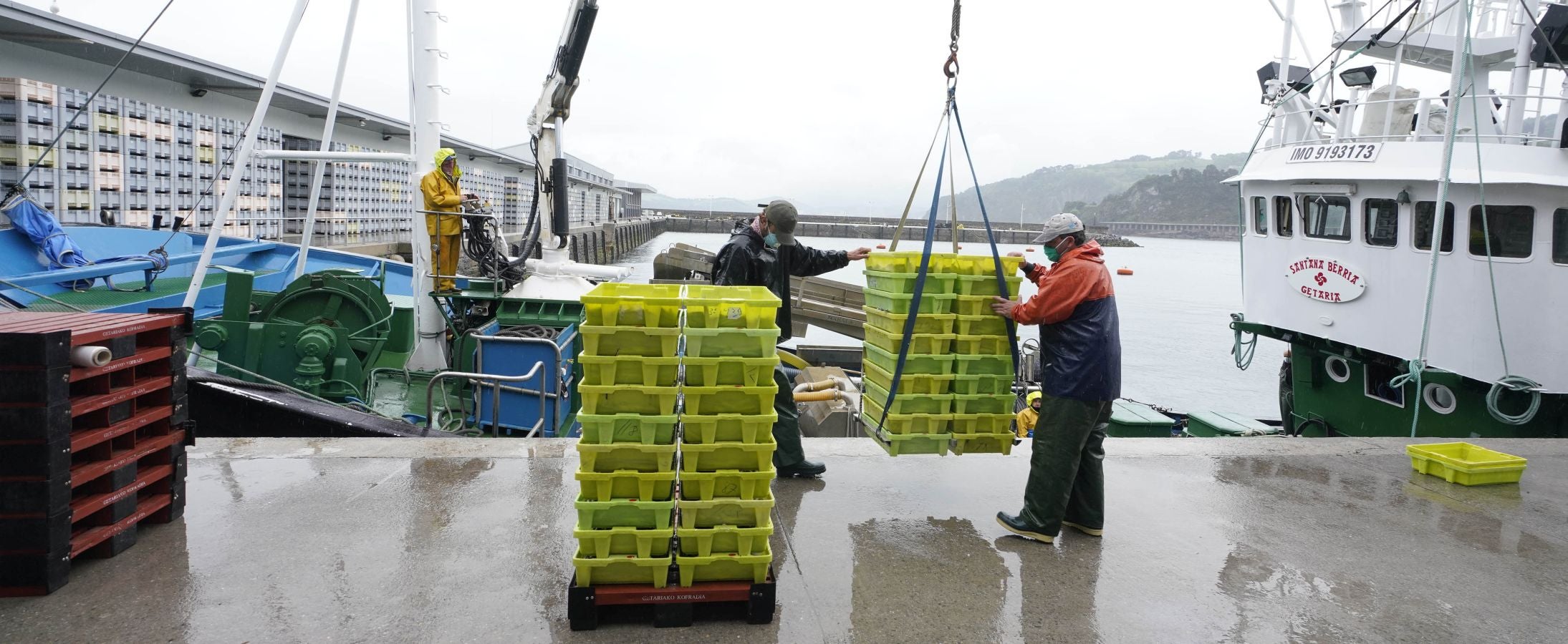 En lonja se ha abonado a 2,65 euros el kilo