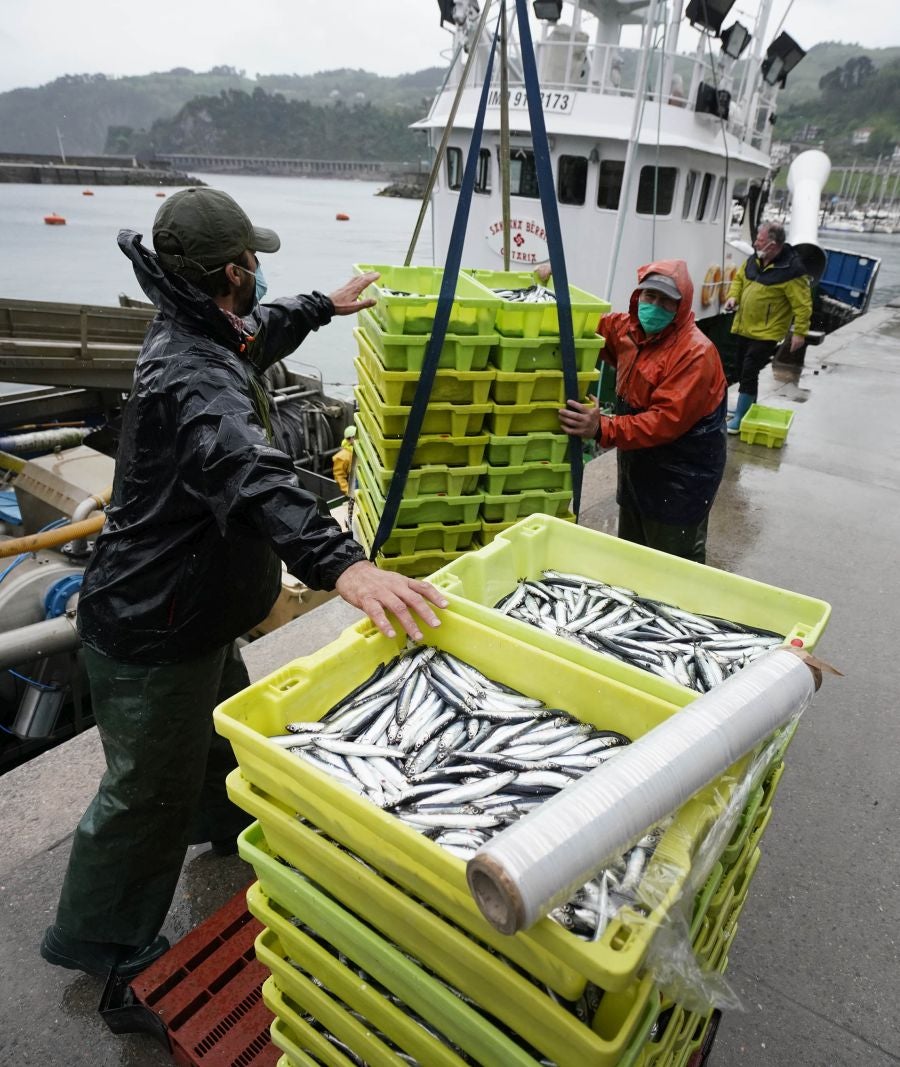 En lonja se ha abonado a 2,65 euros el kilo