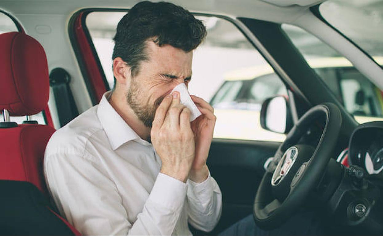 Los peligros de conducir con alergia