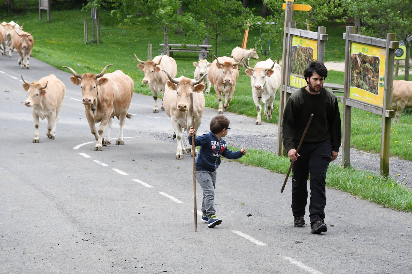 Fotos: Abaltzisketan ere zabaldu dituzte larreak