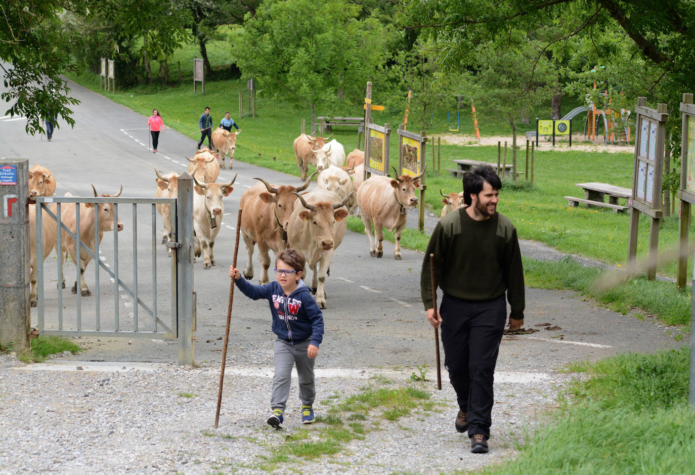 Fotos: Abaltzisketan ere zabaldu dituzte larreak