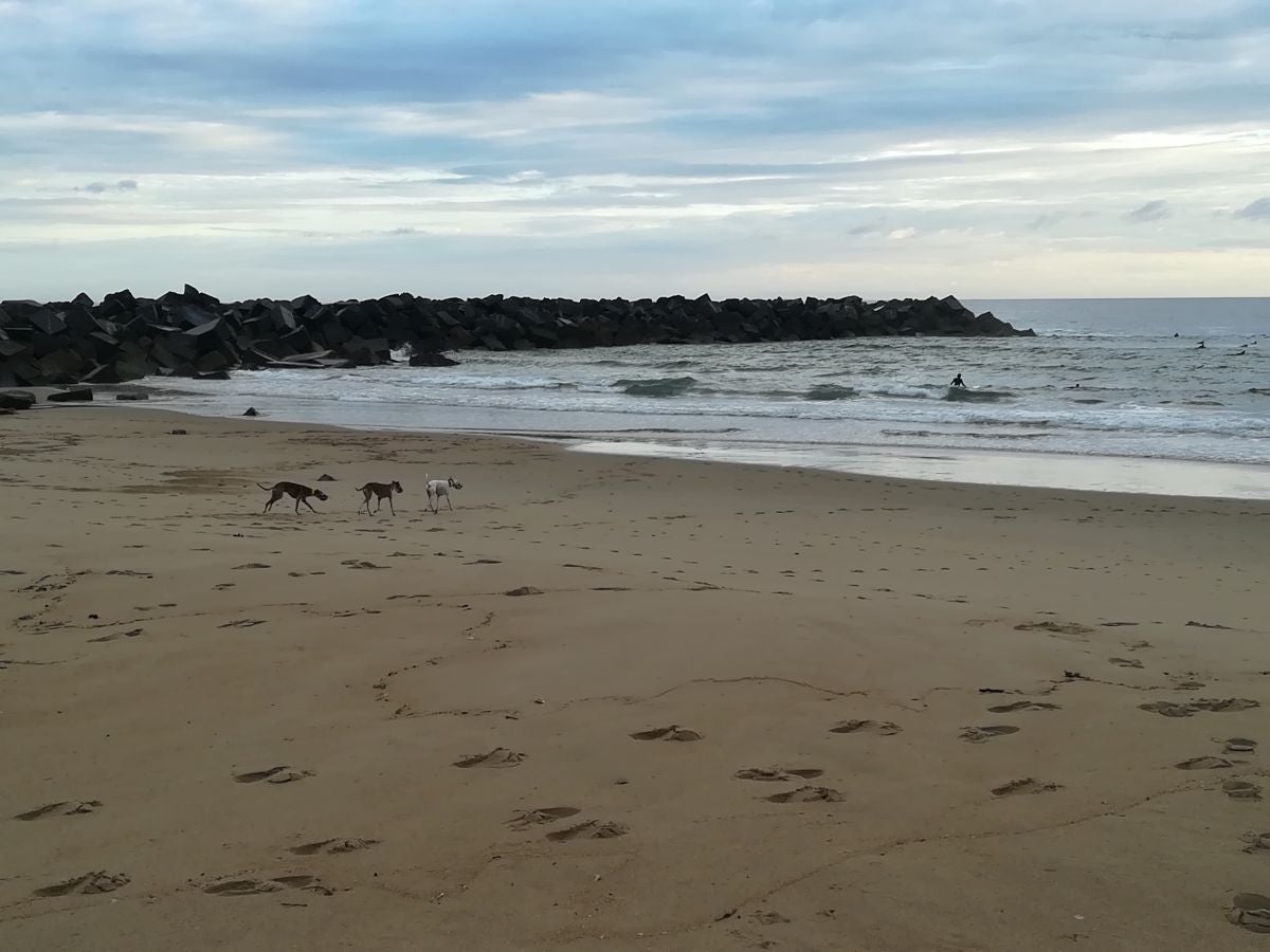 Fotos: Primeros paseos, carreras y olas tras el encierro