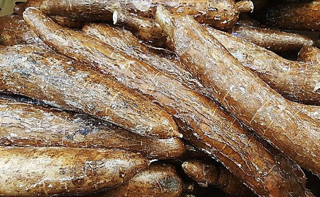 ¿Cómo se debe cocinar la yuca?