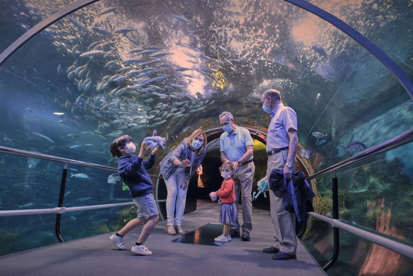 El Aquarium de Donostia ha recibido sus primeras visitas tras el cierre obligado por culpa de la crisis santiaria provocada por el Covid-19. Los hermanos Jon y Malen Lasurtegui junto con el aitona Jesús Ángel han sido los primeros afortunados en recorrer el túnel y ver a los tiburones.