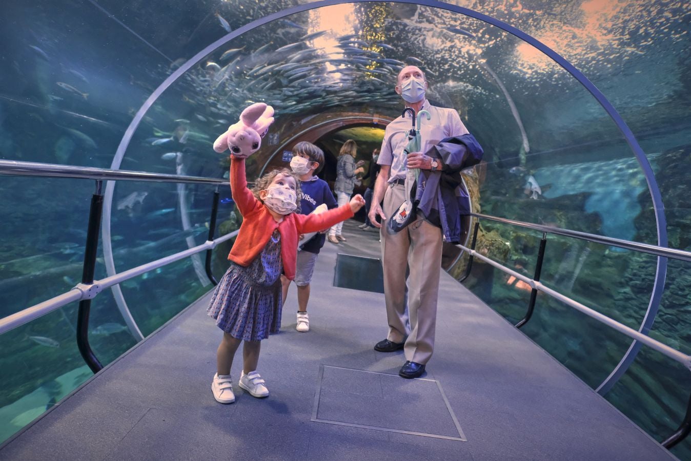 El Aquarium de Donostia ha recibido sus primeras visitas tras el cierre obligado por culpa de la crisis santiaria provocada por el Covid-19. Los hermanos Jon y Malen Lasurtegui junto con el aitona Jesús Ángel han sido los primeros afortunados en recorrer el túnel y ver a los tiburones.