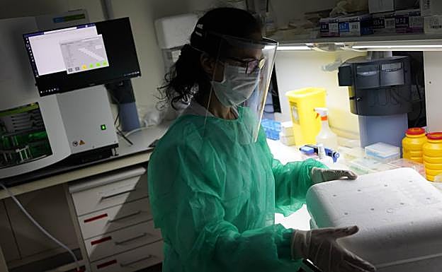 El confinamiento evitó 3,1 millones de muertes en España y otros diez países europeos