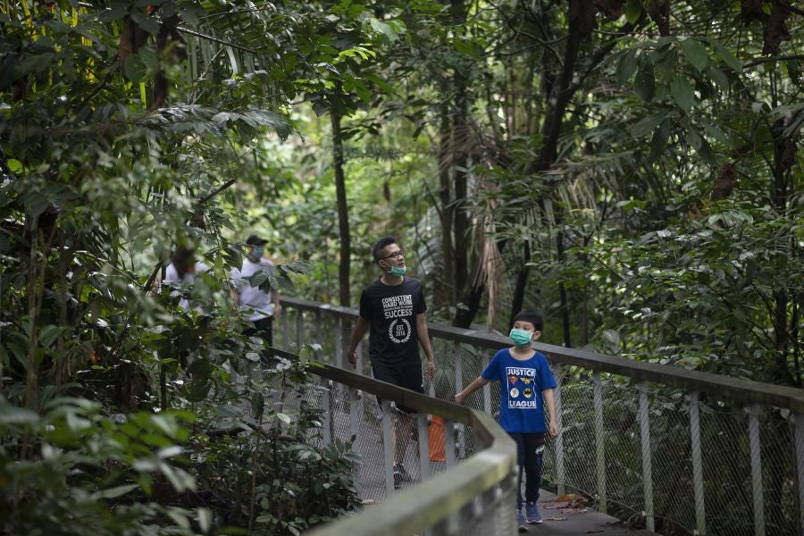 Singapur, la ciudad verde. 