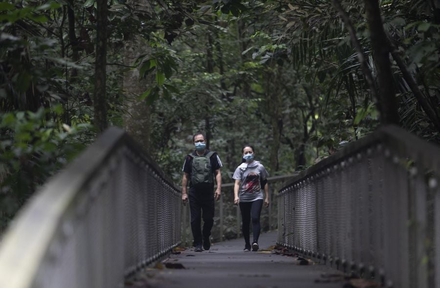 Singapur, la ciudad verde. 