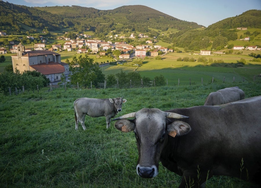 La hermosa localidad de Tolosaldea, sita junto al camino real de Navarra, albergó en sus enormes caserones a reyes y señores. Su valle rezuma belleza natural en cada rincón. 
