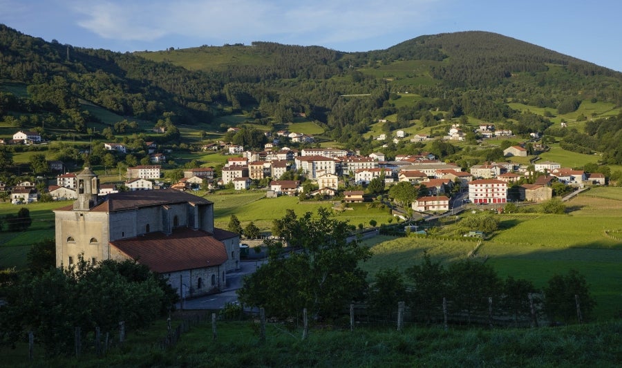 La hermosa localidad de Tolosaldea, sita junto al camino real de Navarra, albergó en sus enormes caserones a reyes y señores. Su valle rezuma belleza natural en cada rincón. 