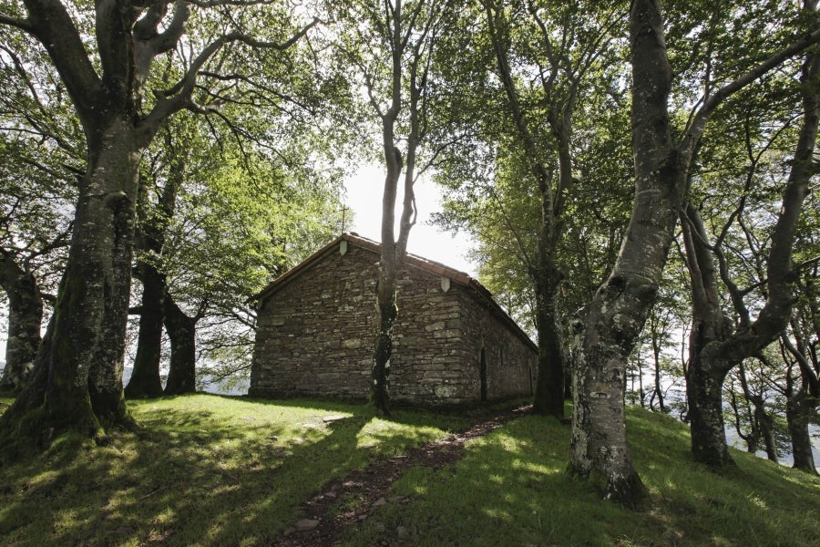 La hermosa localidad de Tolosaldea, sita junto al camino real de Navarra, albergó en sus enormes caserones a reyes y señores. Su valle rezuma belleza natural en cada rincón. 