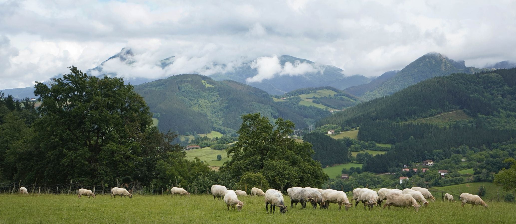 Desde su privilegiada ubicación ofrece unas excelentes vistas de la comarca, desde el Txindoki hasta el Aizkorri. Aúna patrimonio natural e industrial