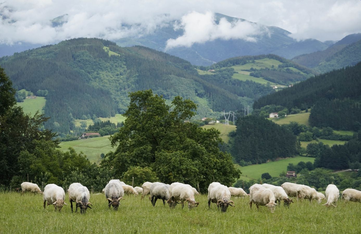 Desde su privilegiada ubicación ofrece unas excelentes vistas de la comarca, desde el Txindoki hasta el Aizkorri. Aúna patrimonio natural e industrial