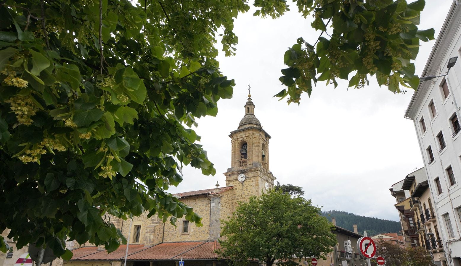 Situada en el valle de Léniz, entre parajes de gran belleza, atesora un rico patrimonio artístico con sus anteiglesias, palacios e imponentes casas torre