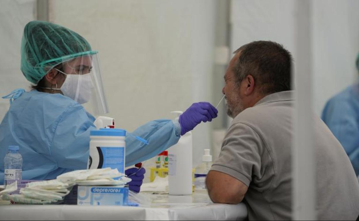 Coronavirus en Euskadi: 30 nuevos contagiados, 16 de ellos en Gipuzkoa, y ningún fallecido, en las últimas 24 horas