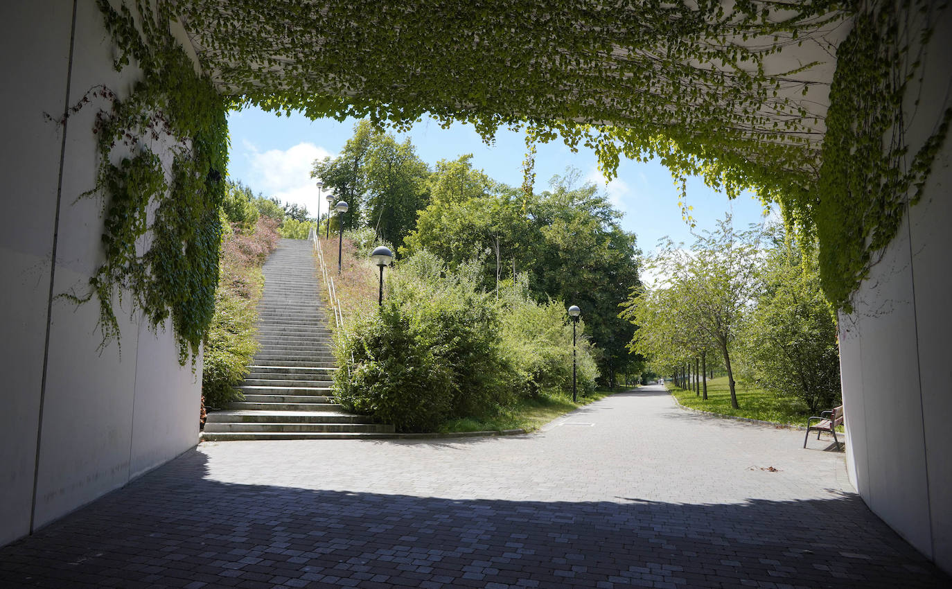 Sus tres patronos (que solo son dos) protegen a los amantes, los peregrinos y los visitantes de la ciudad del Arga. Entre plátanos, cerca del río, Gora San Fermín, Viva San Saturnino, Adelante San Cernín