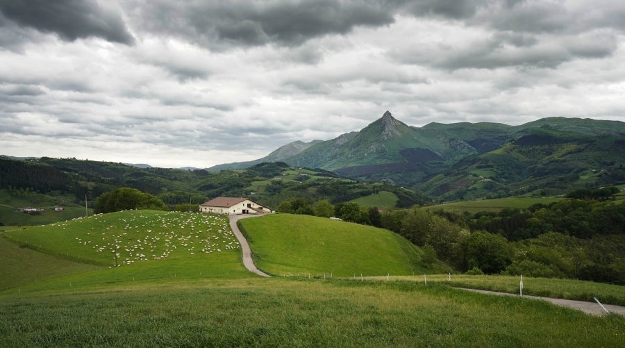 Ambas localidades ofrecen grandes vistas, como la de este caserío de Zaldibia. 