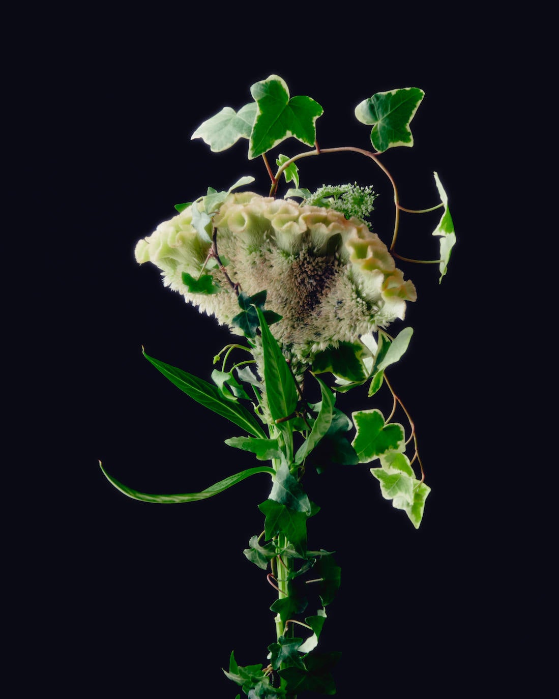 Palomo Spain rinde homenaje al esplendor de la Haute Couture en los años 1950 y 1960 y a sus grandes casas parisinas en una vuelta a los orígenes y a la manufactura de calidad y local. La colección SS21 The Rehearsal se ha confeccionado con una filosofía upcycling, a partir de materiales de archivo con un equipo de taller muy reducido y en tiempo récord debido al contexto actual