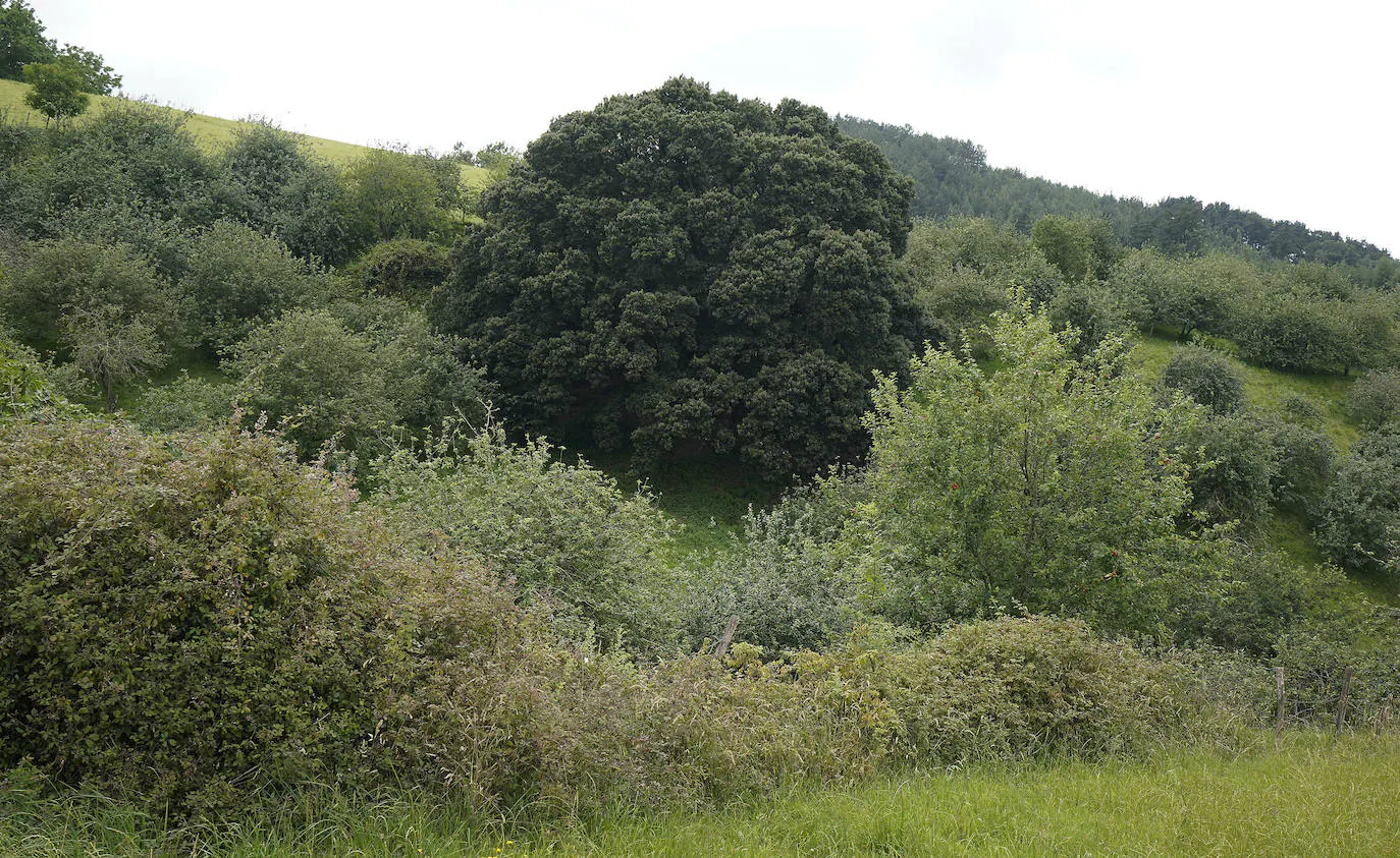 Aizarnazabal. Situado en un bello paraje de tonos verdes, en el valle del Urola, conserva su personalidad rural pese a haber desarrollado una importante industria