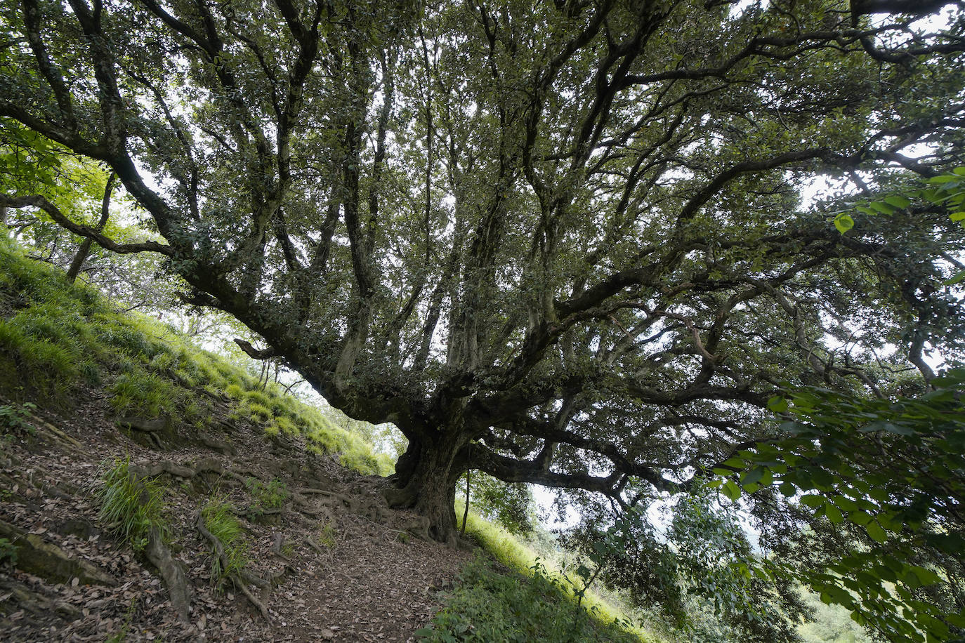 Aizarnazabal. Situado en un bello paraje de tonos verdes, en el valle del Urola, conserva su personalidad rural pese a haber desarrollado una importante industria