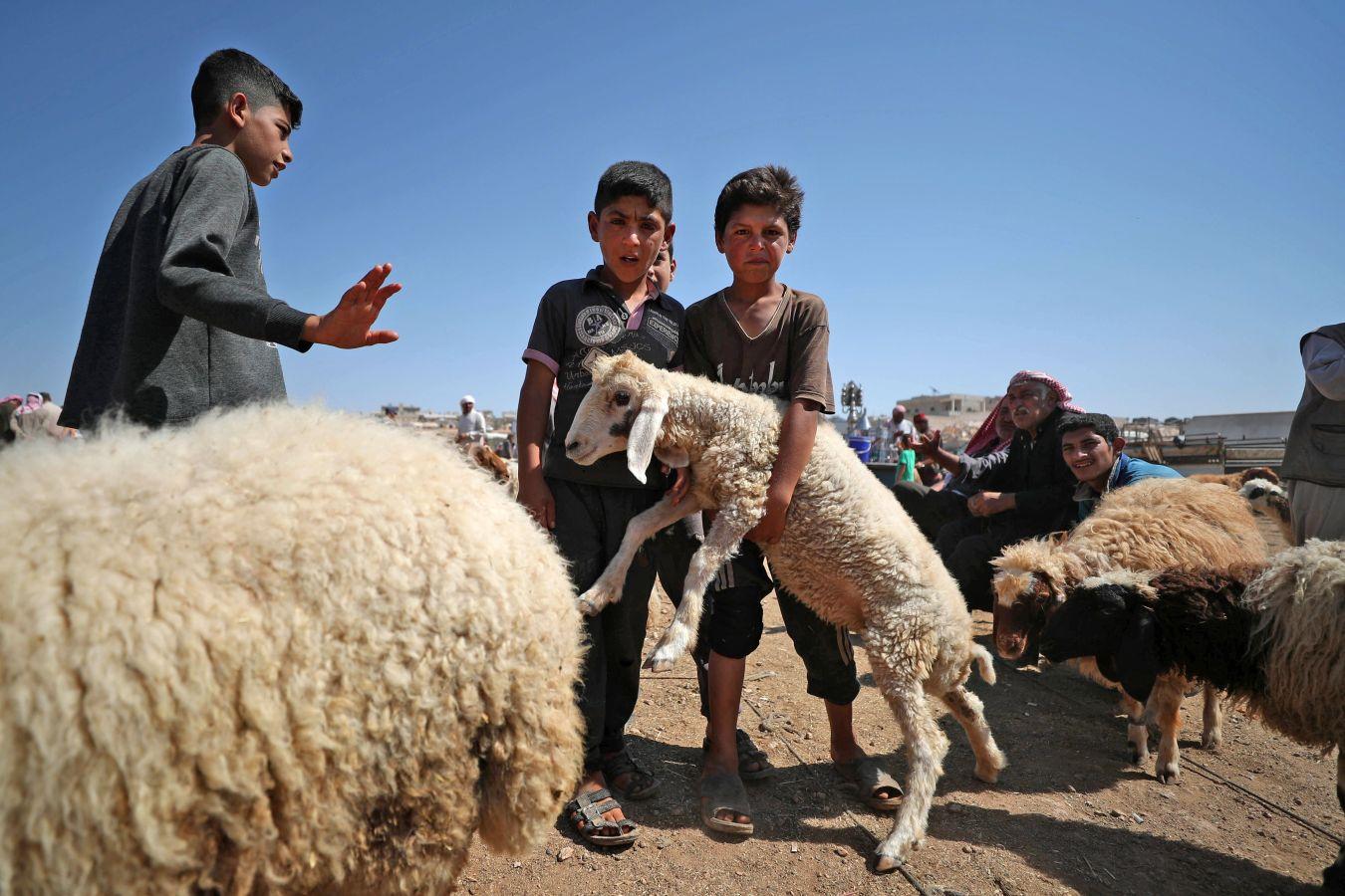 La festividad conocida como Eid al-Adha o Fiesta del Cordero es una de las celebraciones más importantes en el mundo musulmán. No hay una fecha exacta de celebración, pues su realización coincide con el fin del peregrinaje a La Meca (El Hajj). Es una tradición en la cual se aprovecha para orar junto con la familia y posteriormente se sacrifica un cordero. Esto por hacer una referencia a los hechos de las sagradas escrituras del Corán. En el cual se menciona que Dios, ordenó a Abraham a sacrificar a su primogénito como prueba de su fidelidad y, previo a esto, Dios le ofreció un cordero para sacrificarlo. Es una costumbre con bastante arraigo en el mundo árabe. Países como Afganistán, Siria, Kuwait, Líbano, Palestina o Nigeria lo celebran. 