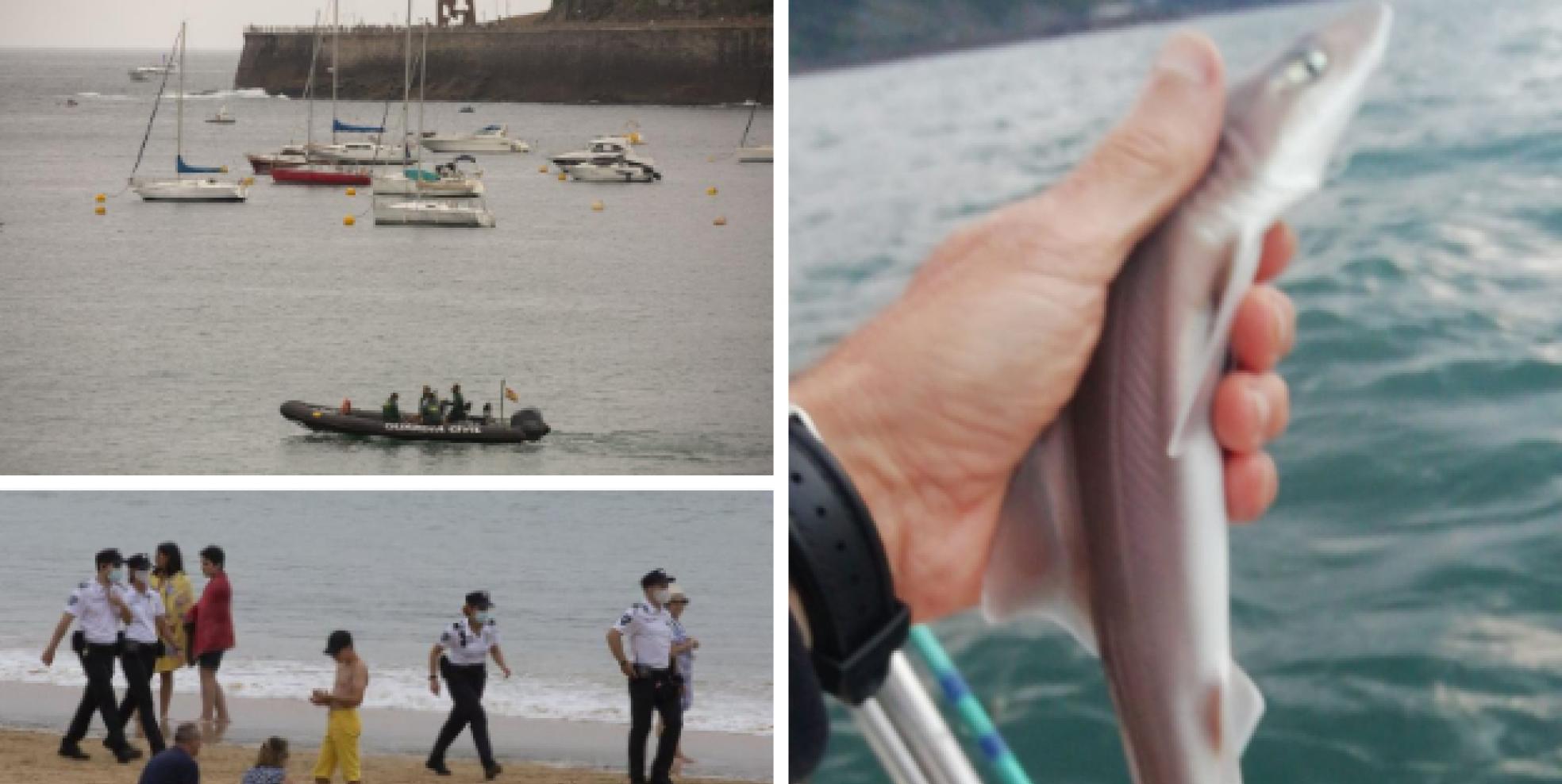 Alerta. La Guardia Municipal desalojó a los bañistas tras el supuesto avistamiento. 