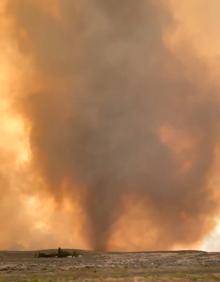 Imagen secundaria 2 - Un tornado de fuego arrasa el norte de California