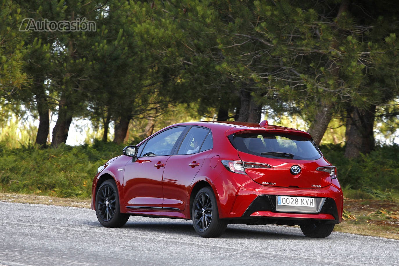 Fotos: Fotogalería: Toyota Corolla 1.8H