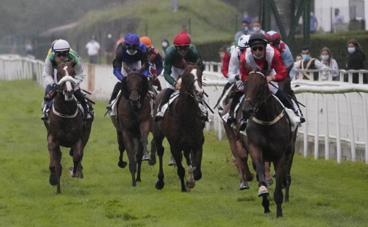 Carrera de la Copa de Oro en el hipódromo de Donostia.