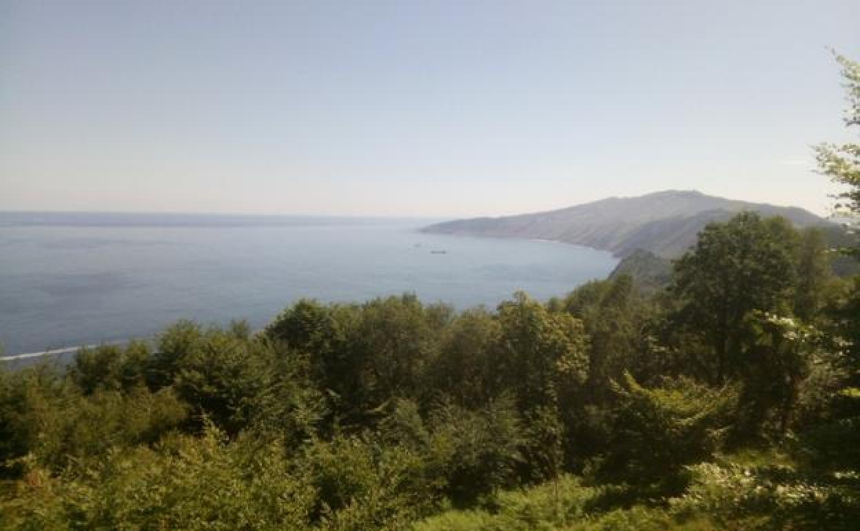 El monte Ulia se declara zona libre de caza