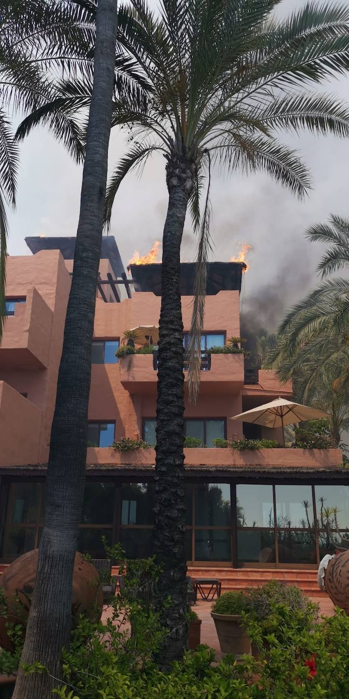 Efectivos del Plan Infoca y del Consorcio Provincial de Bomberos trabajan en la zona