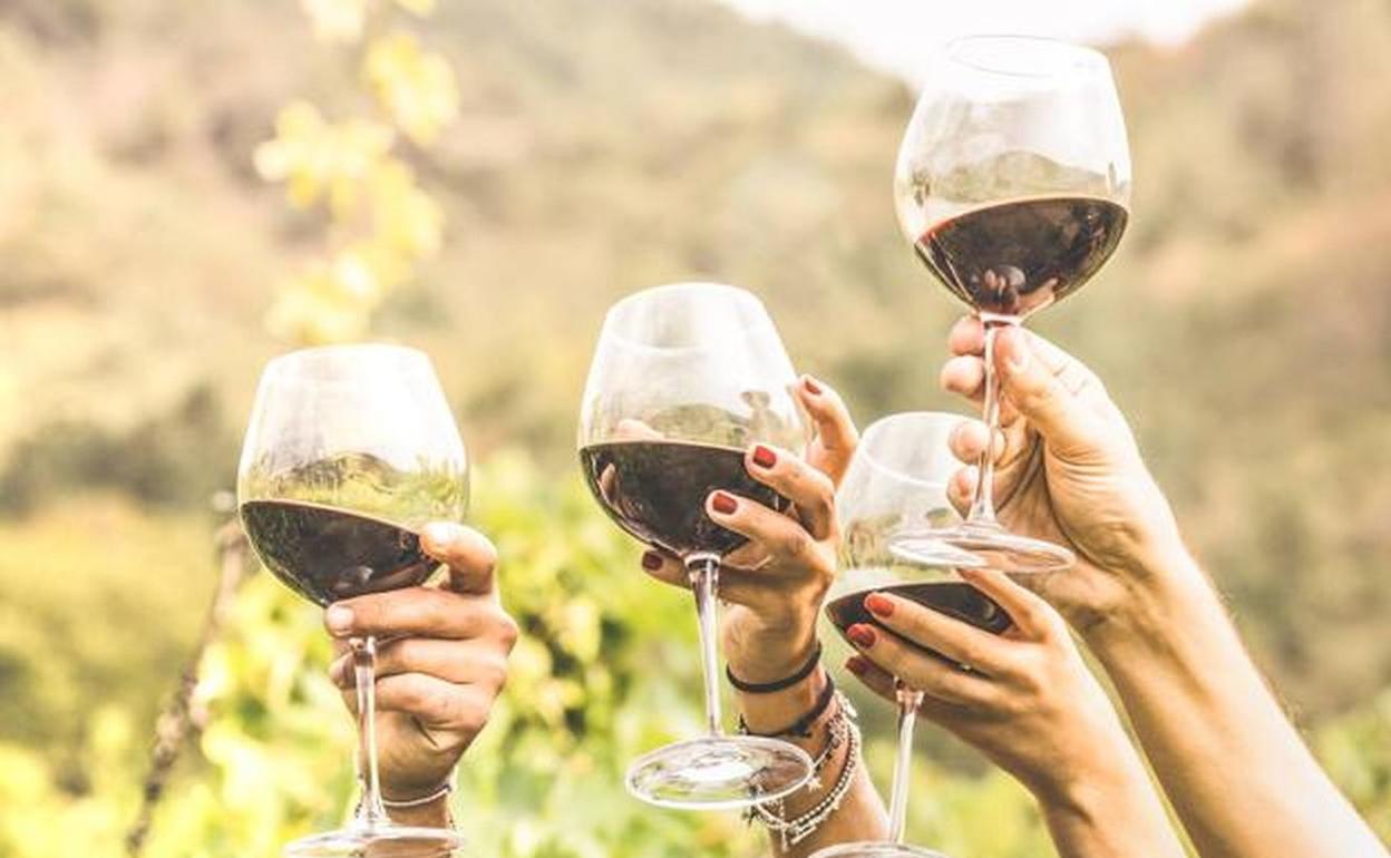 Nueve tintos que también son para el verano