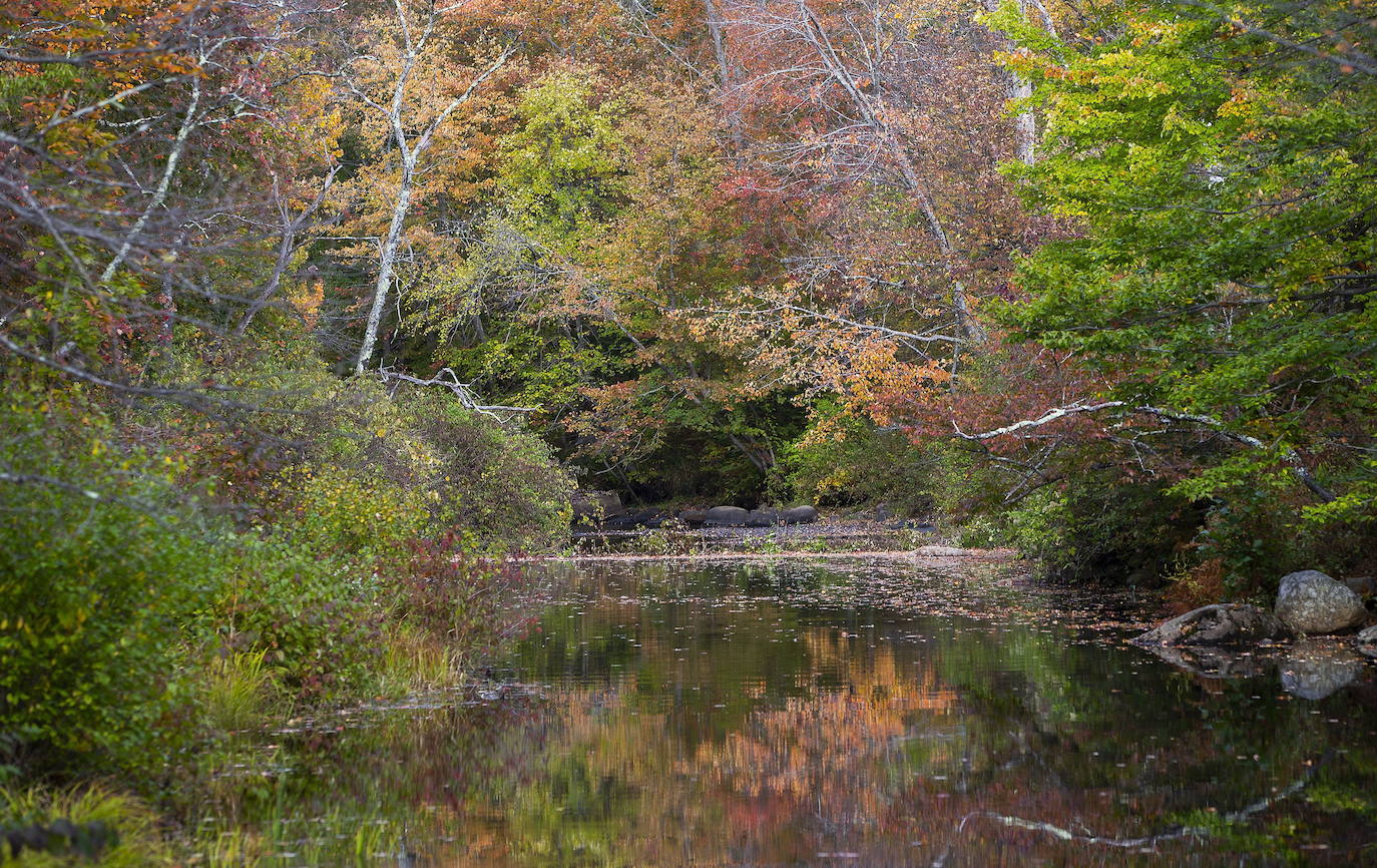 En White Mountains, de New Hampshire, los picos más altos ya registran colores otoñales que atraen a millones de visitantes de todo el mundo. Otras visitas obligadas son Peterborough, Jaffrey y Stowe, en Vermont. 