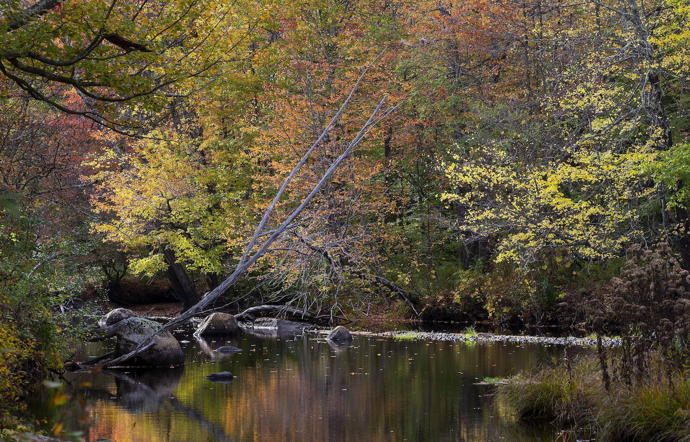 En White Mountains, de New Hampshire, los picos más altos ya registran colores otoñales que atraen a millones de visitantes de todo el mundo. Otras visitas obligadas son Peterborough, Jaffrey y Stowe, en Vermont. 