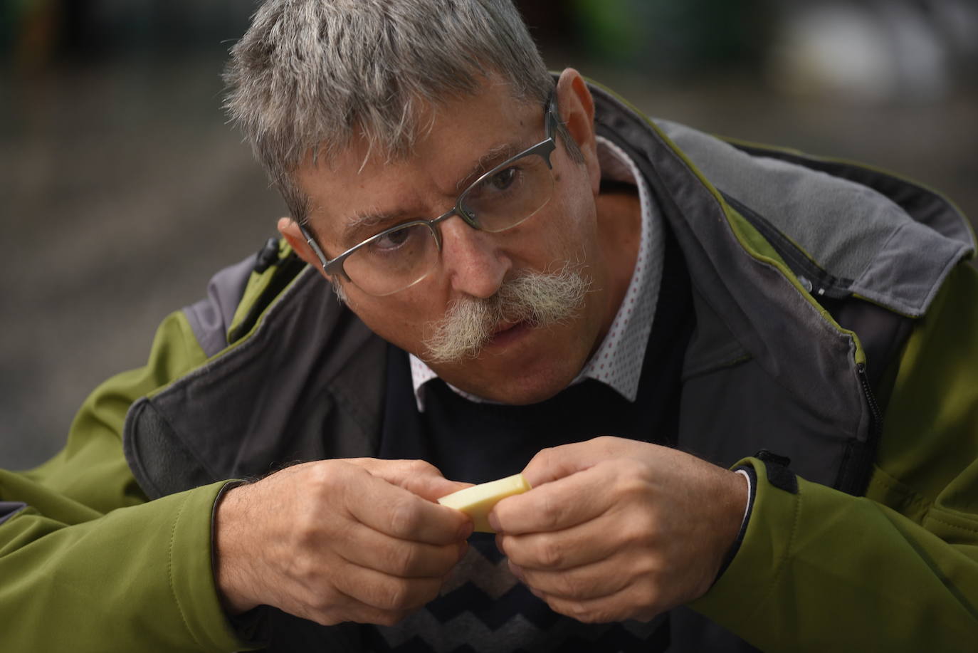 En busca del mejor queso