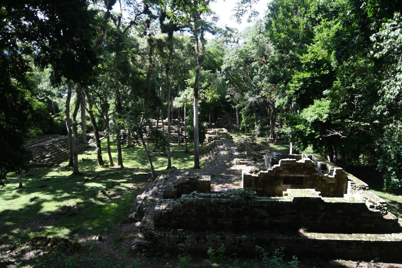 La escalinata de los jeroglíficos es la estrella del Parque Arqueológico de Copán, un patrimonio mundial legado por los mayas en el oeste de Honduras que sobrevive a los desafíos por la degradación de las estructuras antiguas. Con 63 escalones y una altura de 12 metros, la mole de 1.100 bloques monolíticos se levanta en este parque incrustado en un bosque localizado a unos 300 km al noroeste de Tegucigalpa. El valor universal de la escalinata, que llevó a la UNESCO a declararla Patrimonio Mundial en septiembre de 1980, «es la combinación excepcional de arquitectura, escultura y escritura», resalta el arqueólogo francés, René Viel. En Copán hay otros monumentos: el campo de pelota, en los túneles están las tumbas reales y el templo de Rosalila, pero la escalinata jeroglífica es el monumento más emblemático.