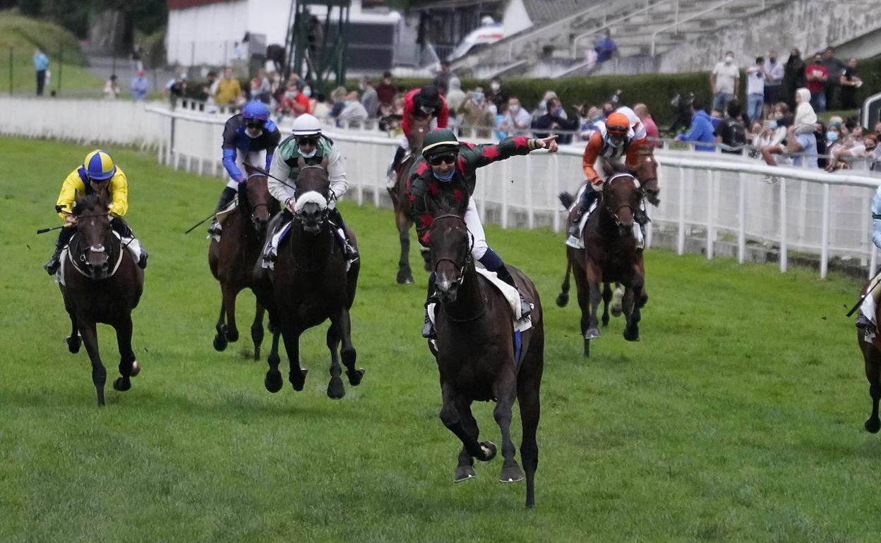 Carrera de caballos en el hipódromo