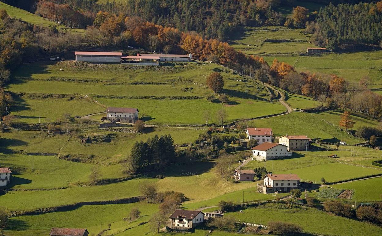 Zona en la que se haya la explotación de Berastegi donde se encontraron las vacas muertas en 2017.