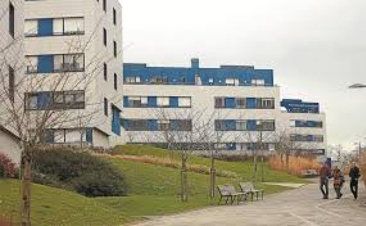 Euskadi se propone duplicar en 15 años las viviendas en alquiler público «asequible»